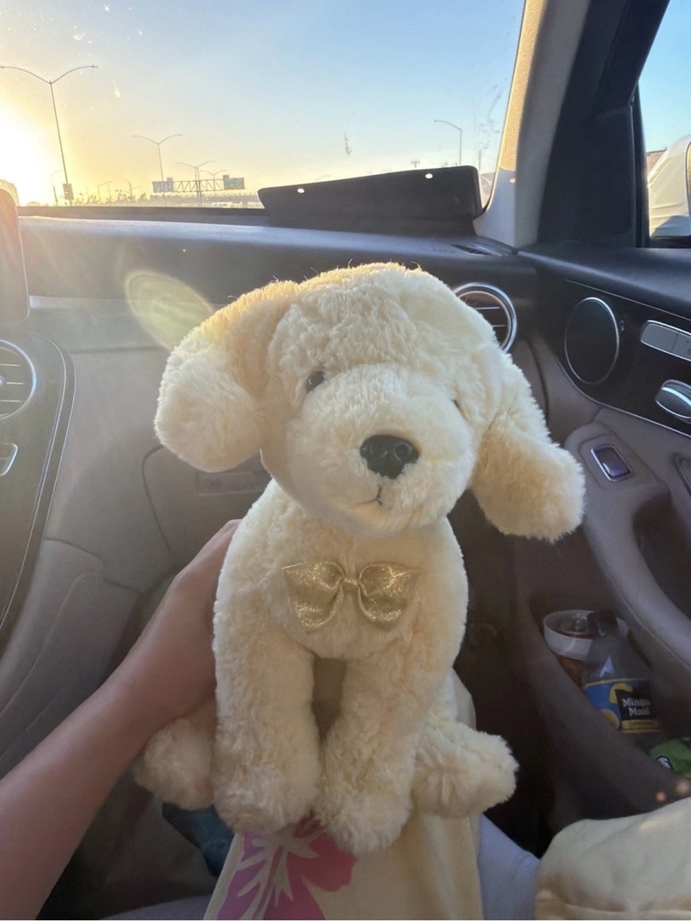 Rare F.A.O Schwarz Golden Retriever Dog Plush Toy With Bow. Great condition!